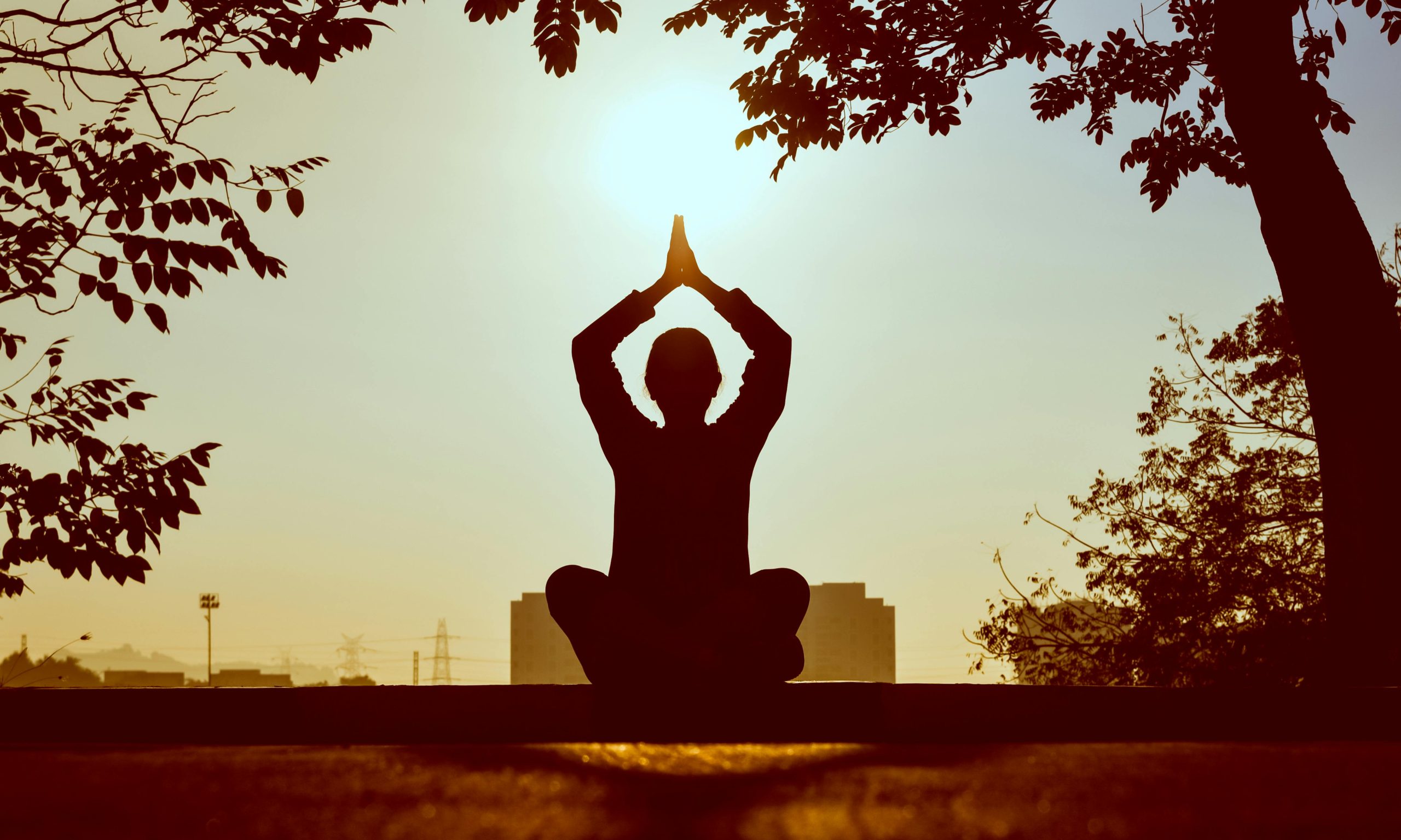 Mindfulness e meditazione